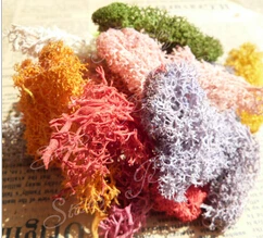 

20gram/package dry preserved dyed lichen moss for DIY glass bottle flowers deoration mixed color