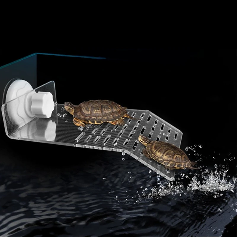 3 Size Plastic Floating Aquarium Turtle Island Wall Mounted Turtle Tank Basking Platform Shelf Decoration For Turtle Reptile Decorations Aliexpress