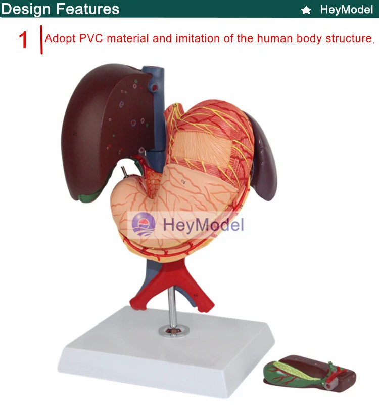 1.PVC_