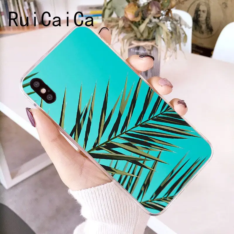 Palm tree Leaves Plant Flower