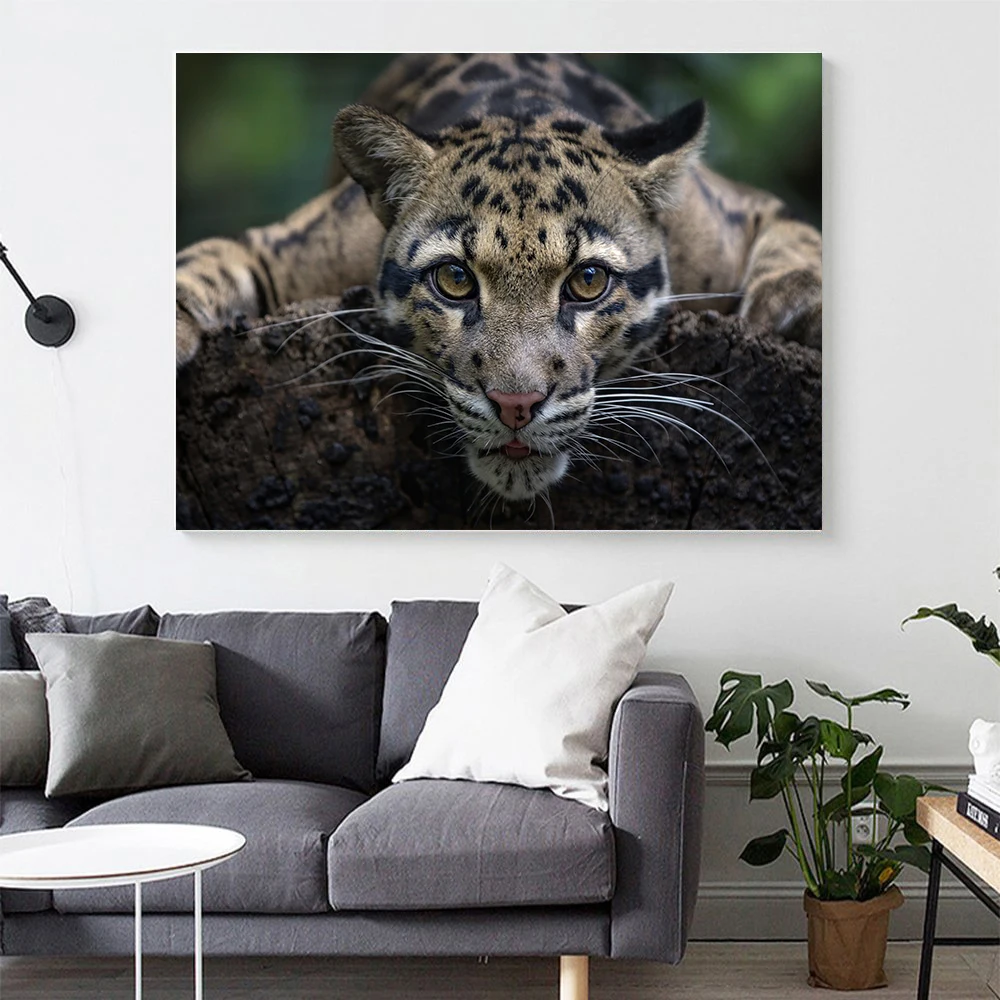 71A6X74RO+L._SL1000_