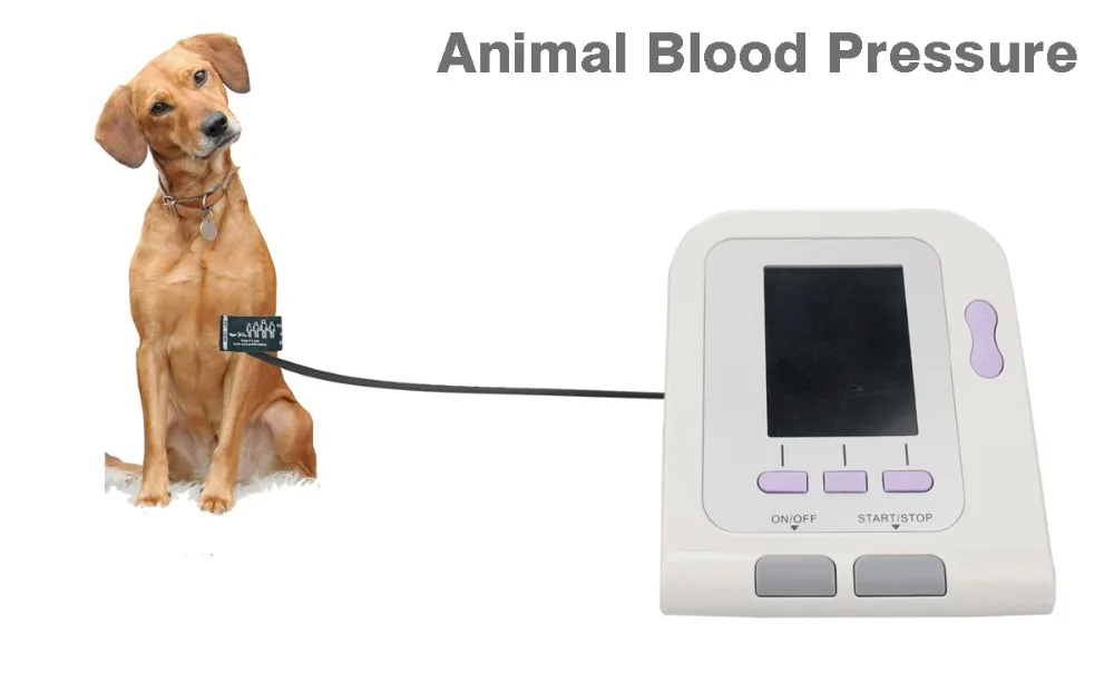 Animal Blood Pressure Monitor CONTEC08A VET +SPO2 PR+PC Software+6 11cm