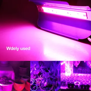 

30W 50W LED Phyto Flood Lights High Power COB LED Grow Light Fitolampy IP67 Waterproof 110V 220V For Plant Greenhouse Hydroponic