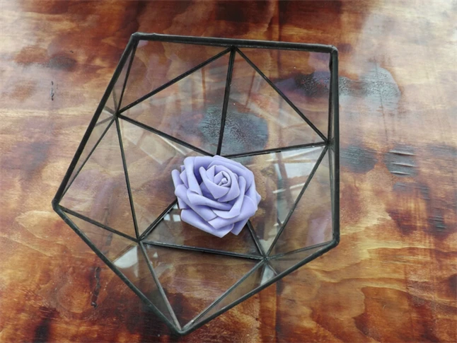 Tabletop Greenhouse2.jpg
