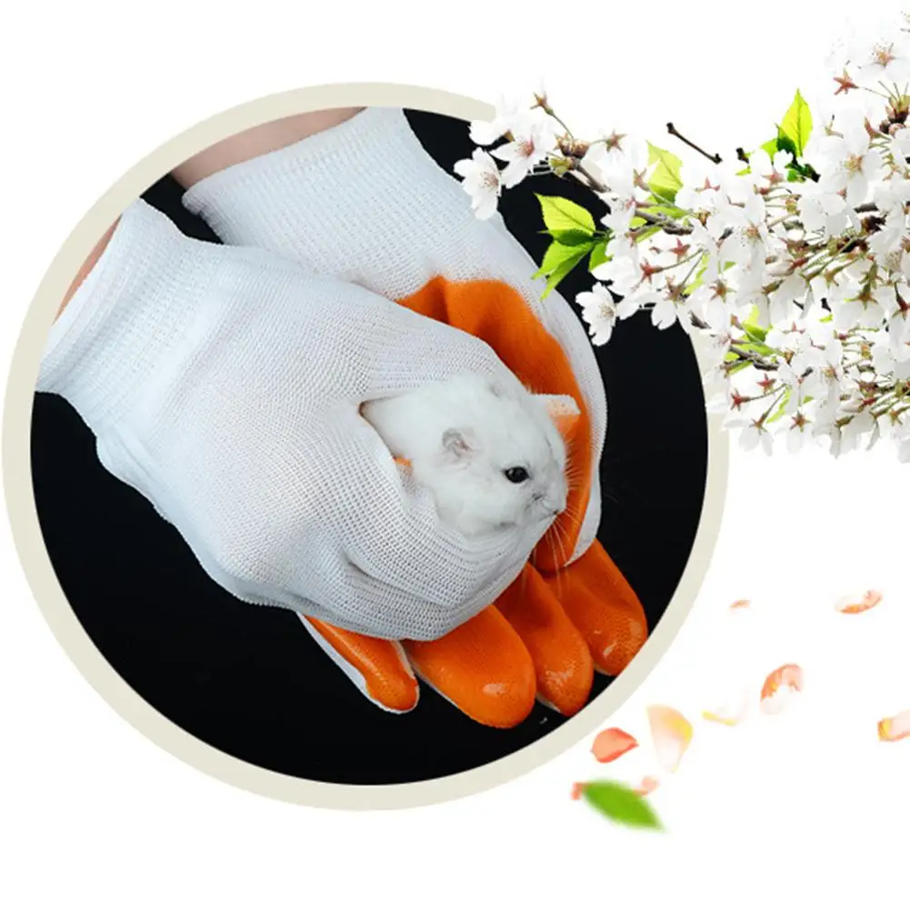 Small Pets Bite-proof Gloves Smash-proof Hand Protection Gloves Anti Bite From Hamster Rabbit Chinchillas Guinea Pig Small Pets Bite-proof Gloves Smash-proof Hand Protection Gloves Anti Bite From Hamster Rabbit Chinchillas Guinea Pig