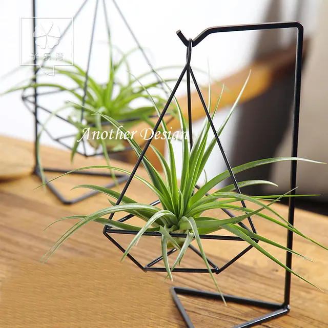 Iron Shelf Pots Diamond Shape Metal Crafts Flower Planters Iron Shelf Pots Diamond Shape Metal Crafts Flower Planters Home Decoration Party Bar Creative