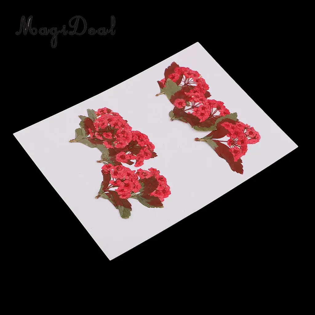 10pcs Red Flower Natural Real Pressed Dried Flower for Jewelry Making Handmade DIY Resin Ornament Crafts