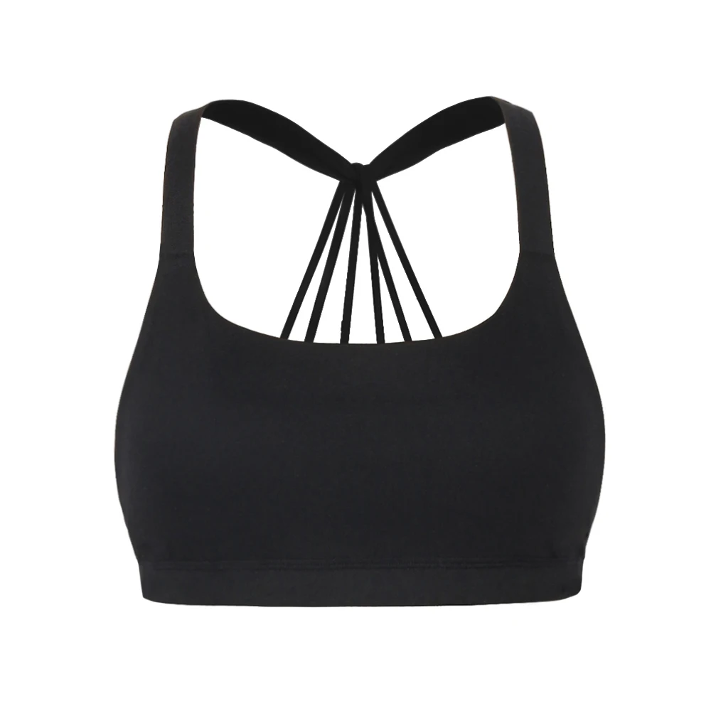 Sports Bra Padded Plus Size Crop Top Women Shockproof Gym Fitness ...