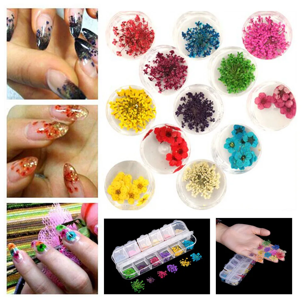 12 Colors Real Nail Dried Flowers Art Decoration Diy Tips Dry Outtop 12 Colors Decoration Real Dry Dried Flower For Uv Gel Acrylic Nail Art Tips