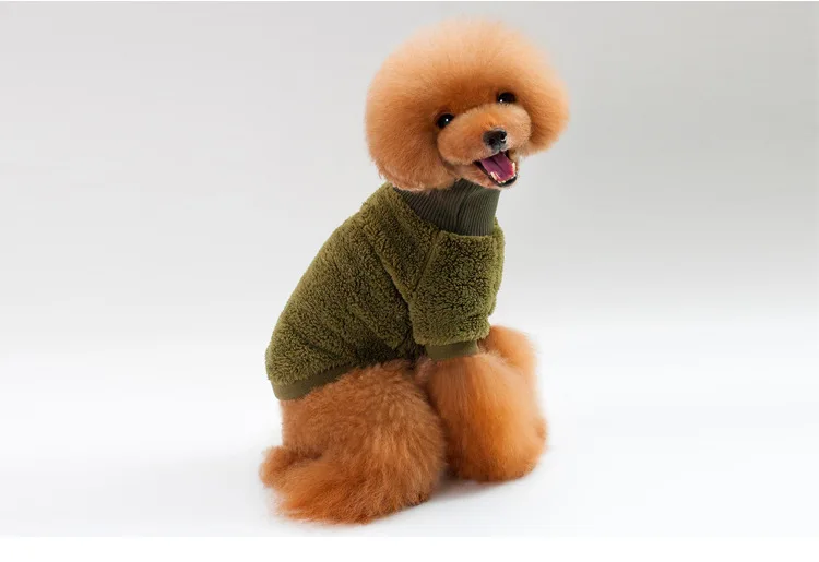 P11_New_design_Winter_Pet_high_collar_Velvet_Sweater_Clothing_Warm_Puppy_dog_cat_2_legs_hoodie_coat_Solid_color_Chihuahua_ (13)