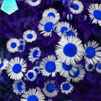 

PSHINY 5D DIY Diamond embroidery blue flowers Pictures Full kit round rhinestone Diamond Painting cross stitch home decor