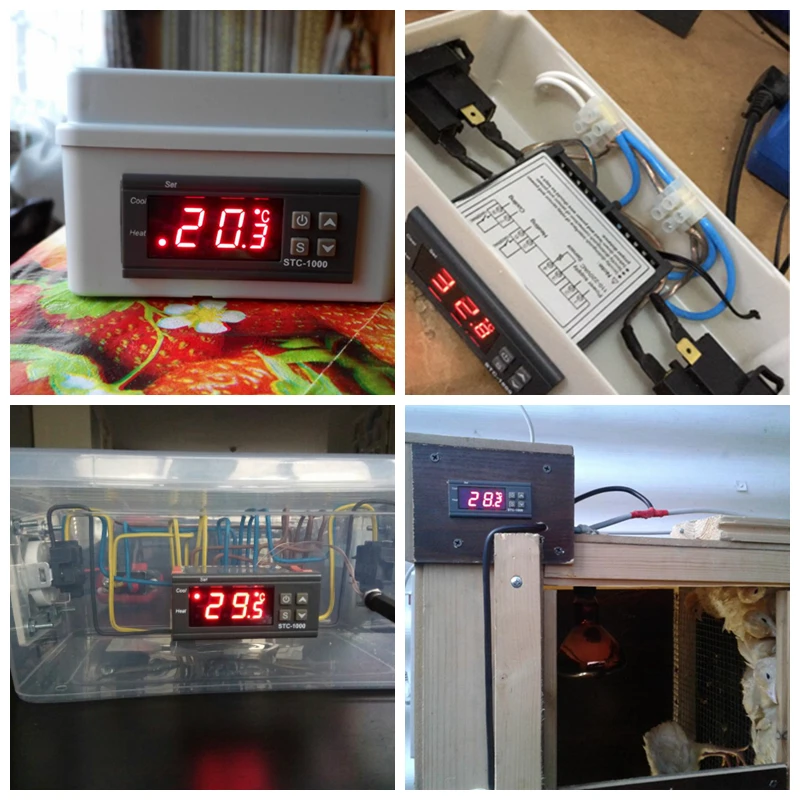 10A реле термостат для инкубатора 110~ 220VAC 12V 24V Цифровой Температура регулятор два реле Выход с 1 м Сенсор