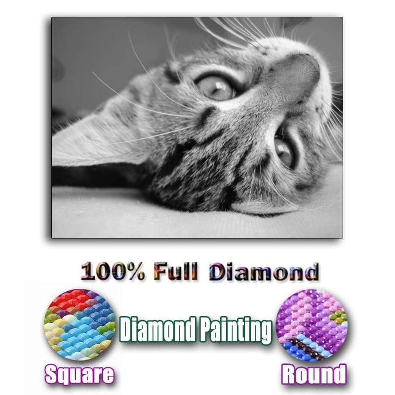 

Full Square/Round Drill 5D DIY Diamond Painting "Animal black cat" 3D Embroidery Cross Stitch Mosaic Decor Gift