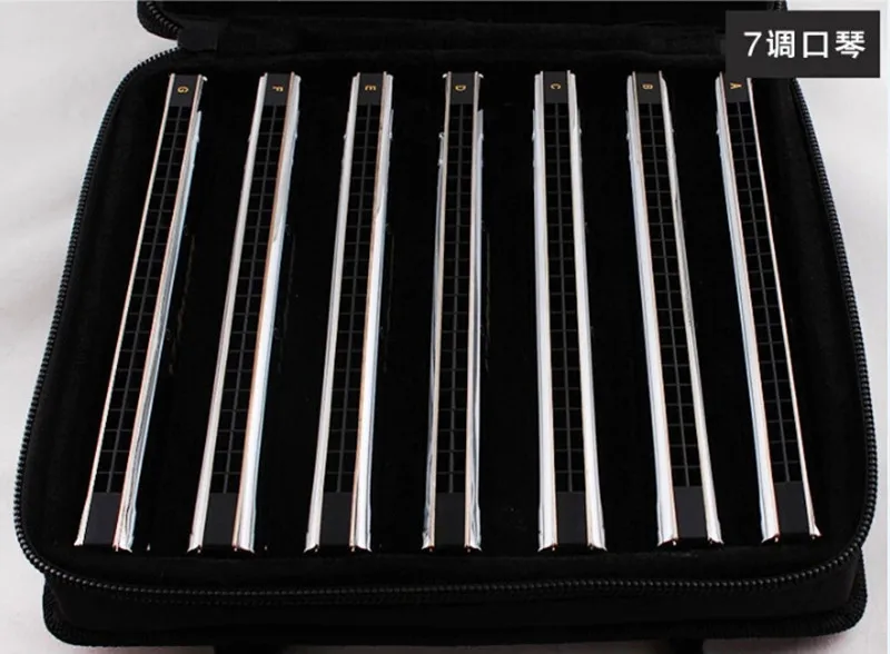 22 Отверстия гармошка Tremolo C A B D E FG F # G tune 12 набор Серебряная Easttop Harpa Tremolo|harmonica a|tremolo