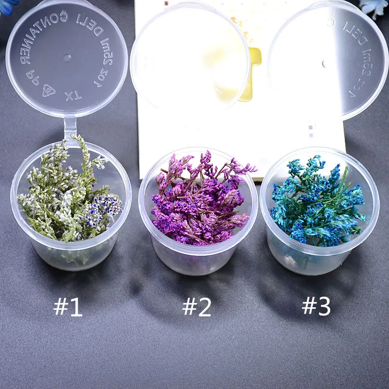 Nail Art With Dried Flowers Ideas Mash Nail Art Real Dried Flowe R50 Off Your First Purchase