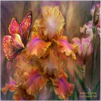 

Modern diy oil paintings on canvas wall art 40*50 Butterfly flower pictures painting by numbers cuadros decoracion picture MS513