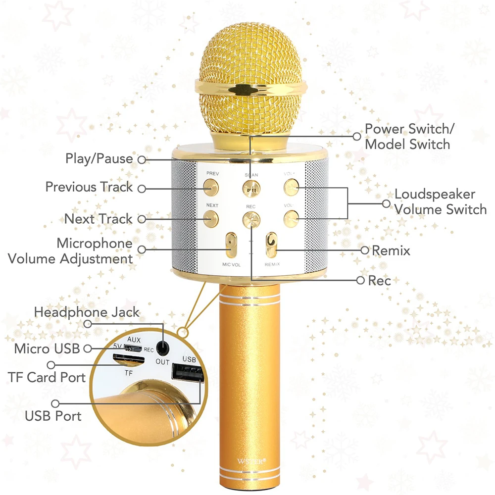 WS 858 беспроводной Bluetooth микрофон профессиональная Колонка для караоке Consender