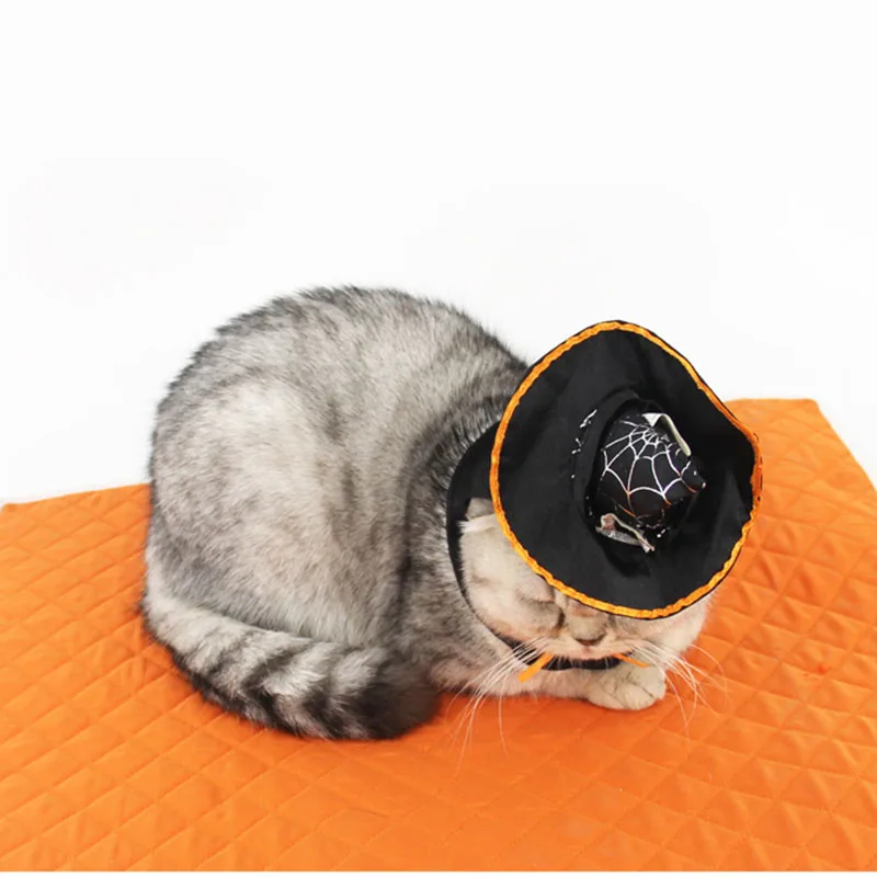 1 Piece High Quality Pet Dog Caps Funny Costumes Wizard's pointy hat