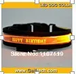 DIY words Pet Collar