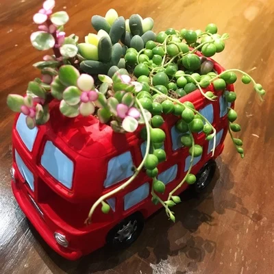 Zakka Creative Flowerpot Retro Cars Colorful Planter Resin Garden Succulent Plants Bonsai Flower Pot Decoration indoor macetas (8)