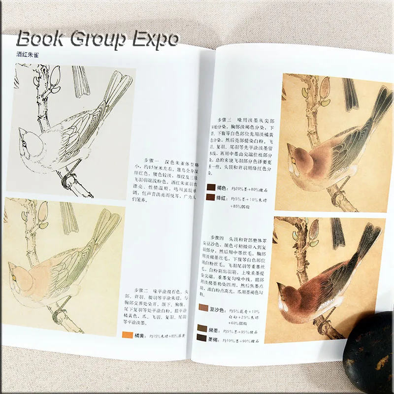 Chinese painting book animal bird painting book by gongbi written By Li Xiaoming 54 Page Chinese painting book animal bird painting book by gongbi written By Li Xiaoming 54 Page