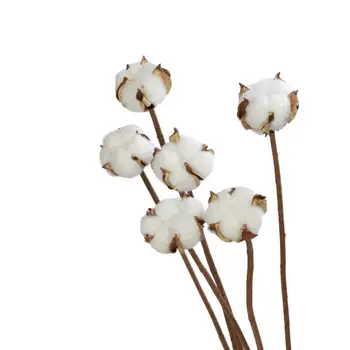 

6pcs/bunch Natural dry flower cotton branches single cotton ball dried flower head artificial cotton branches white