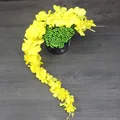 E   60CM