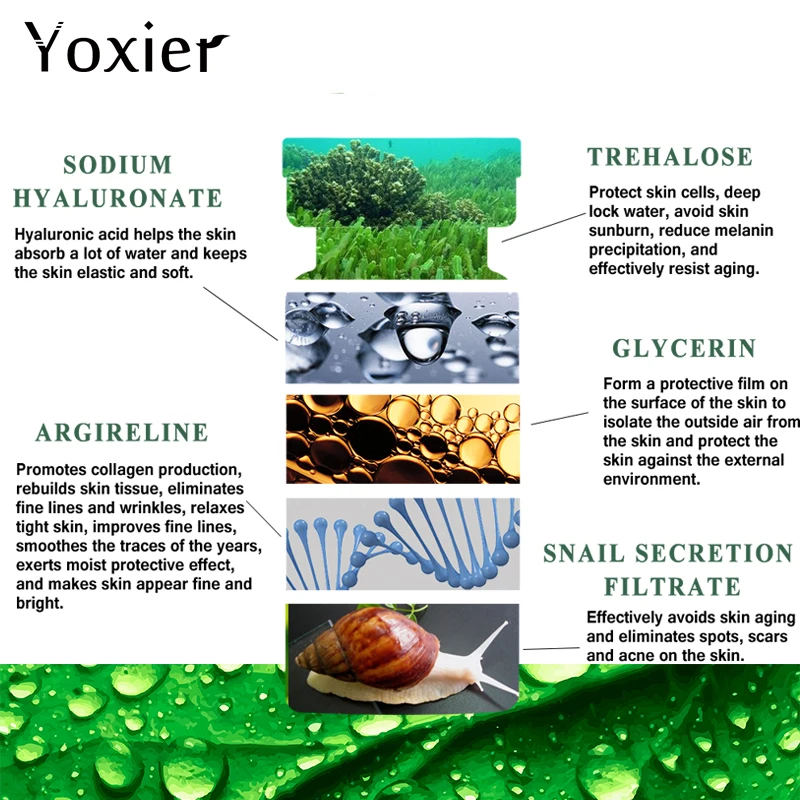 Yoxier Serum Face Anti-Aging Snails Hyaluronic Acid Six Peptide Concentrate Face Care Moisturizing Oil-control Snail Essence