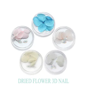 WUF 3Pcs flowers&amp;amp;2Pcs drills/Box Colorful Dry Flower 3D Nail Decoration Preserved Flower Nails Nail Art Decoration