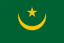 

Mauritania Flags Wholesale Lot of 10 PCS National Polyester Banner150* 90cm 3ft x 5ft All over the world outdoor