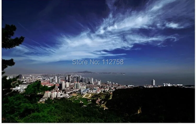 2686587565_1238618995