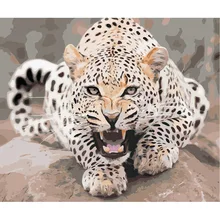 Безрамные леопардовые животные DIY картина по номерам Акриловая картина ручной работы картина маслом на холсте для домашний декор, произведение искусства