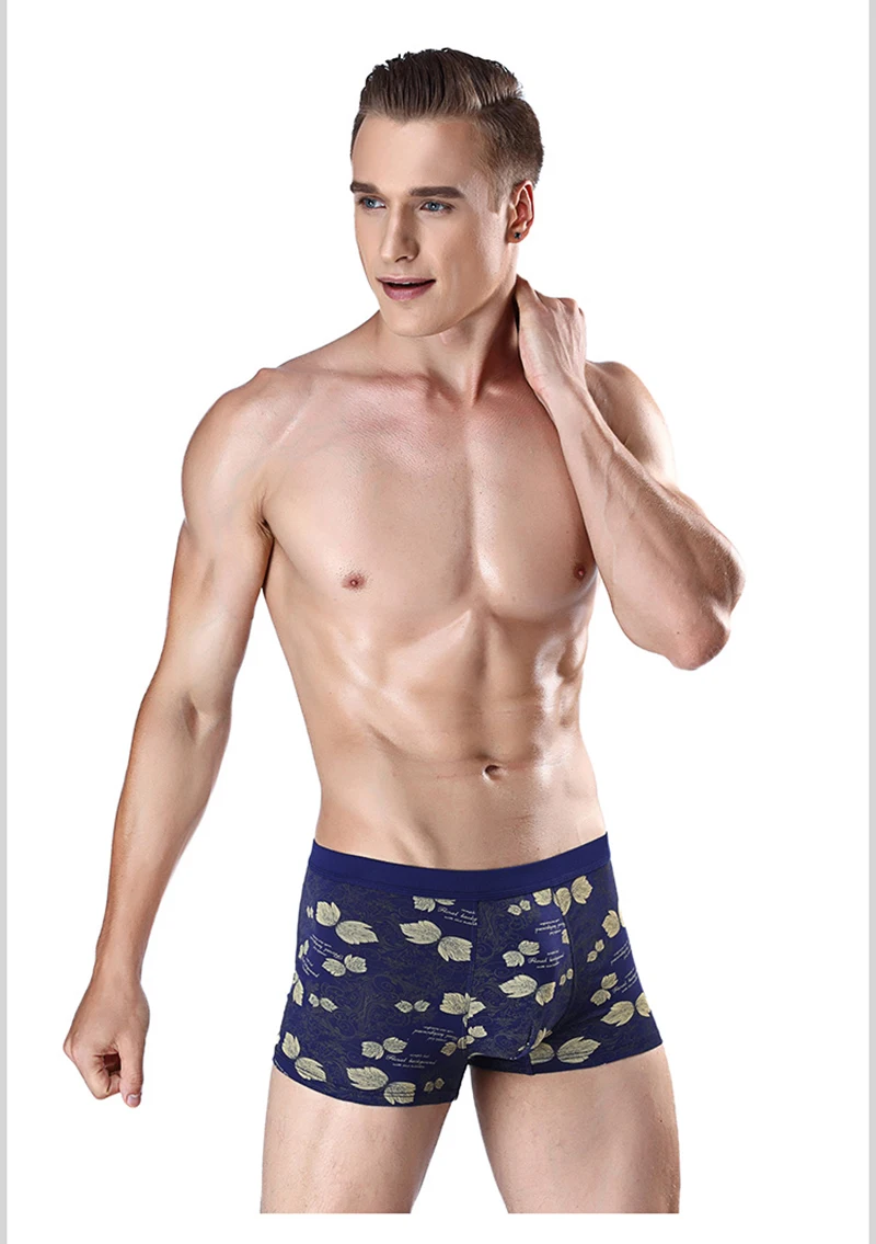 boxer011