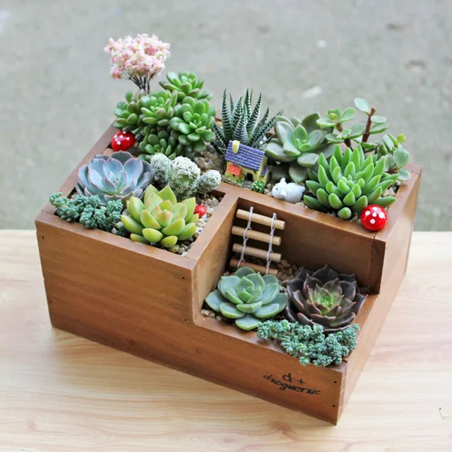 Garden Planter Home Storage Box Wooden Jewelry Holder Wonderful Gift Rustic Natural Succulent Plant Flower Garden Planter Home Storage Box Wooden Jewelry Holder Wonderful Gift Rustic Natural Succulent Plant Flower