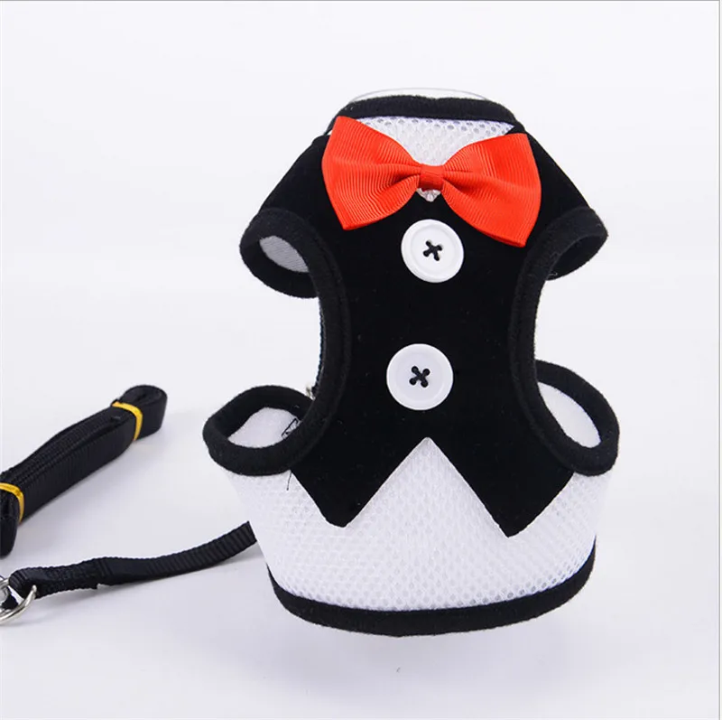 leash for dog (3)