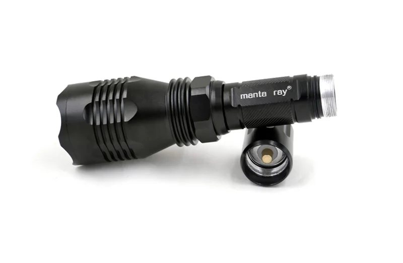 Manta Ray 802 (8)