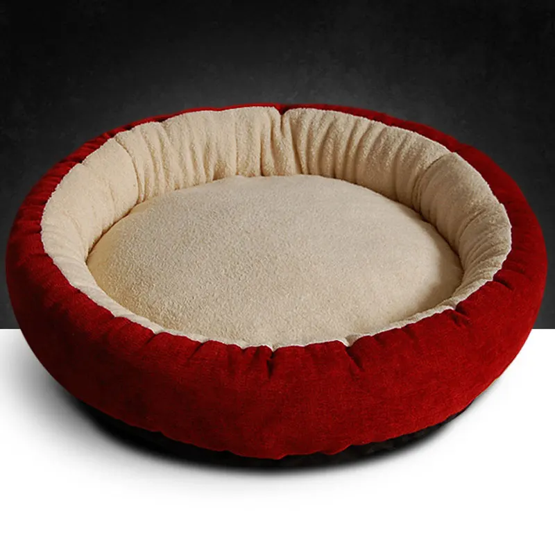 3947261604_455518397