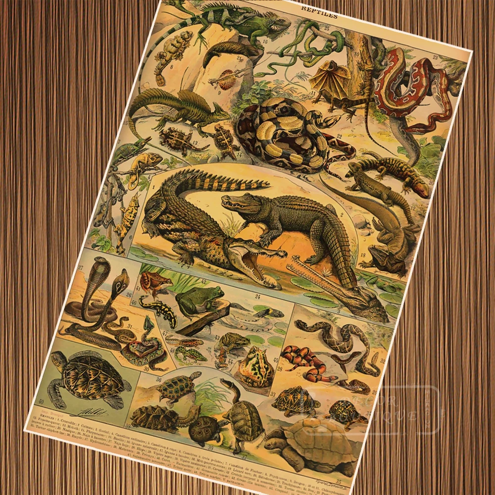 Adolphe Millot рептилий змей крокодиловая иллюстрация ретро старинный крафт плакат Холст Картина Настенная Наклейка домашний Декор подарок