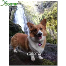 Yogotop DIY ПЭТ фото на заказ Алмазная картина Вельш-корги камни в форме ромба/круглый дрель 5d мозаичная картина, выполненная в технике алмазной вышивки Декор YY328