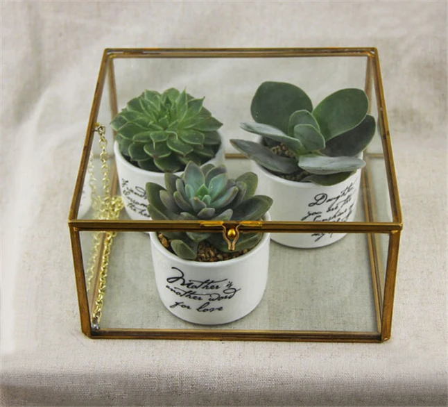 Jewelry Display Case2.jpg