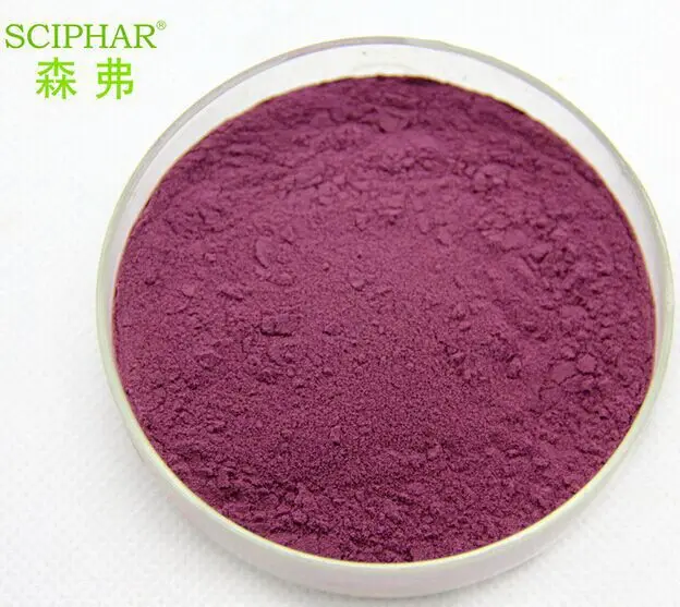 

High Quality Bilberry Extract 10: 1 Extract 500mg x 100caps rich of Anthocyanidin free shipping