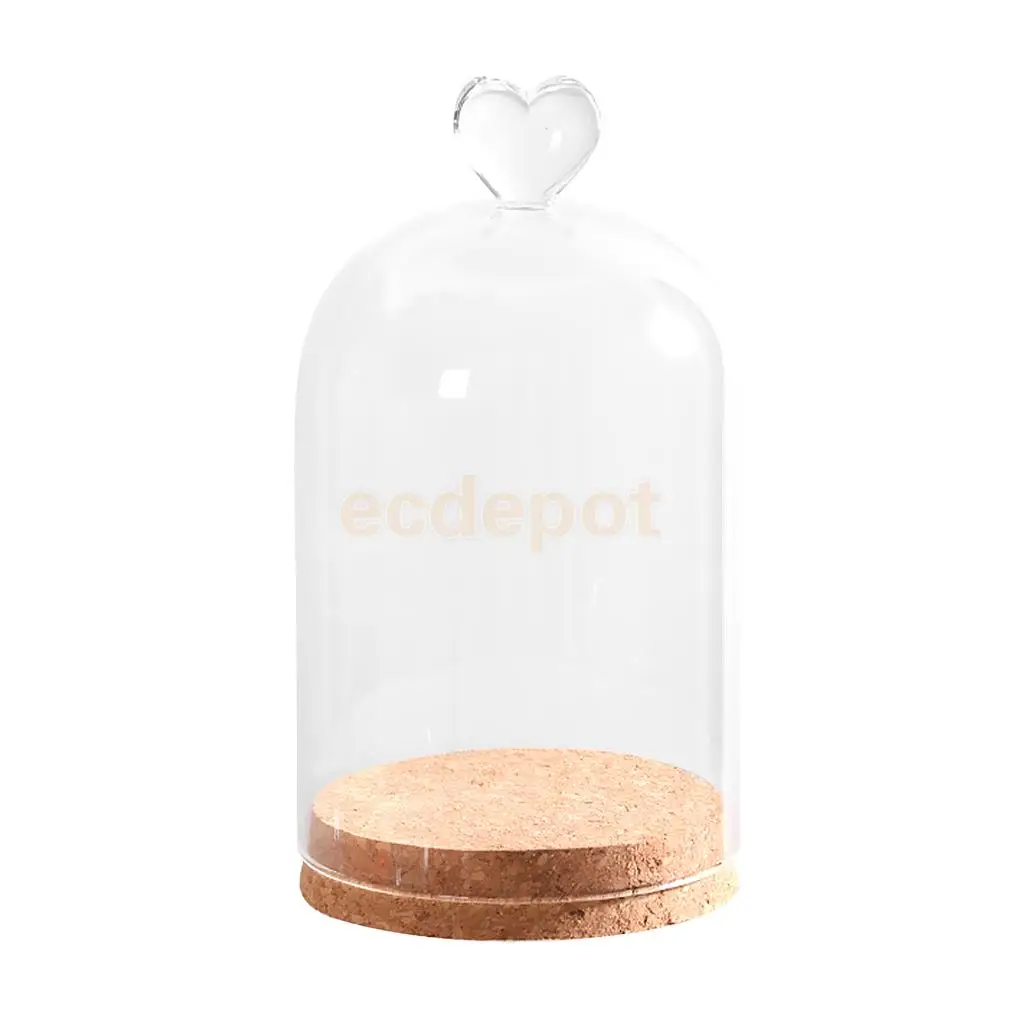 

Glass Cover Landscape Vase Terrarium with Tray Cork Plant Flowers Decor Gift