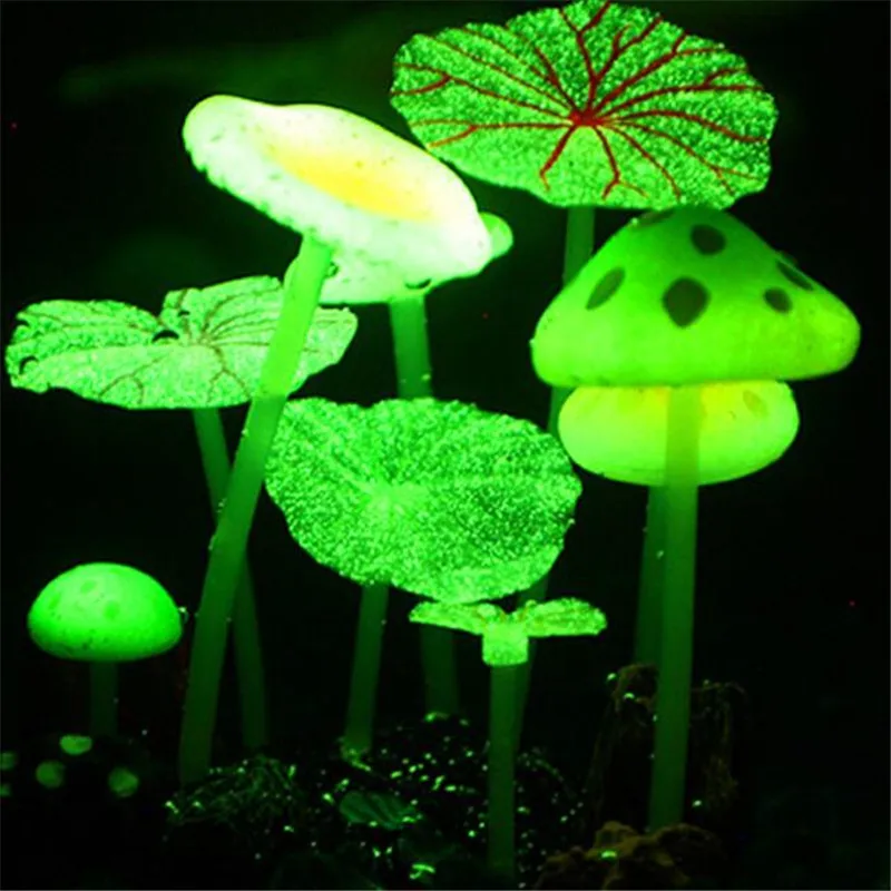 флуоресцентные грибы. светящиеся грибы. Mycena luxaeterna. мицена хлорофос. Hairy mycena гриб.