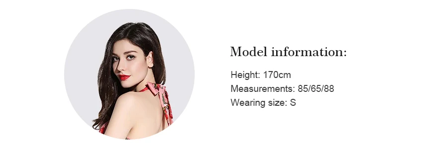 model information(1)
