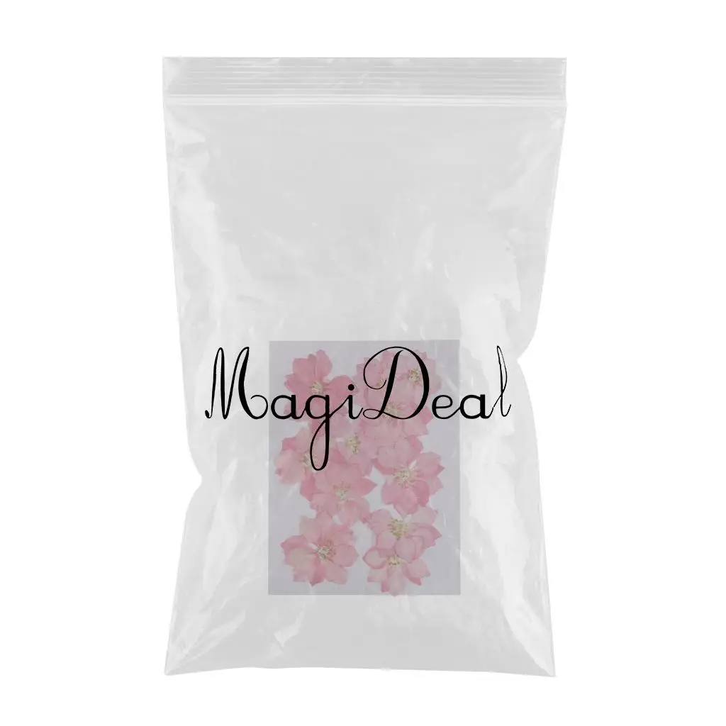 12 Pieces Pressed Dried Real Flower Larkspur for Bookmark Card Making and Resin Casting Handmade Scarpbooking Craft 