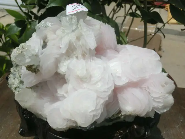 CIMG6846