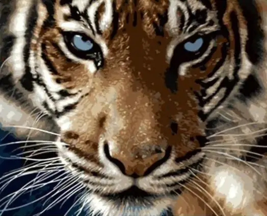 21012 голубые глаза тигр-краска комплекты номеров для взрослых DIY