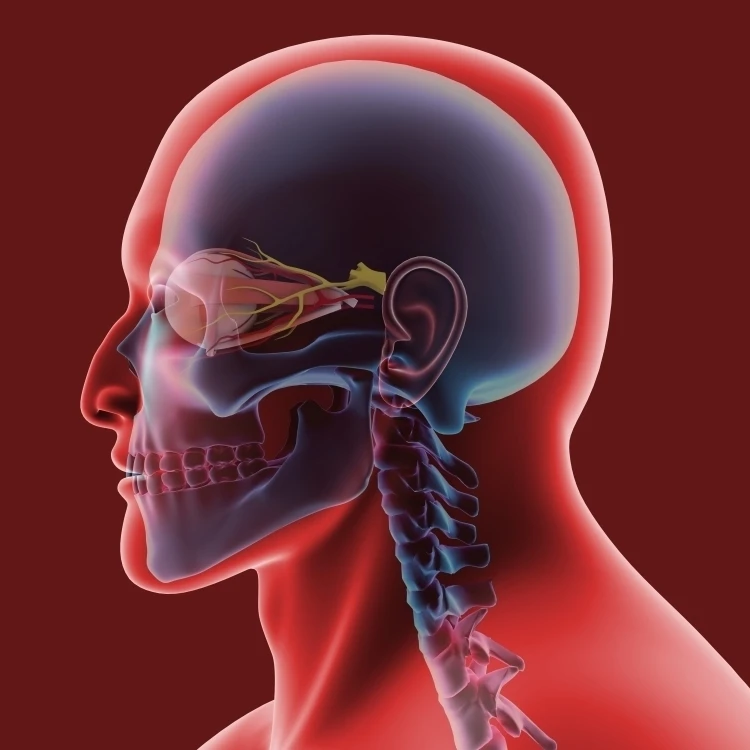Conceptual image of human eye and skull Poster Print (16 x 12)