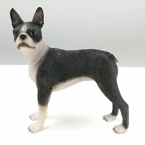 American BOSTON TERRIER dog figure 5