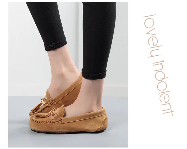 4430257988_1214573647